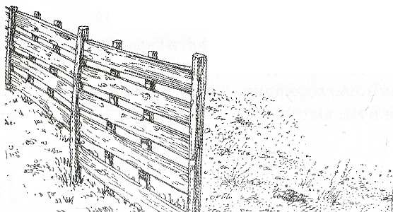 Иллюстрация к книге — Дневник Мишки Клюшкина [i_050.jpg]