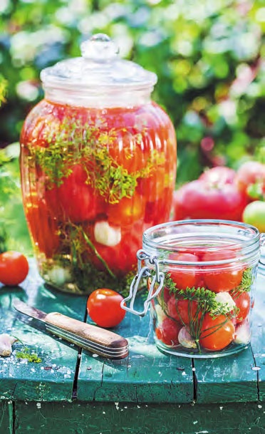 Иллюстрация к книге — Быстрое консервирование. Холодное и горячее. Овощи, грибы, зелень, фрукты, ягоды [_32.jpg]