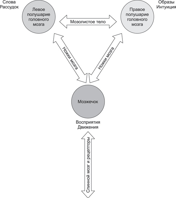 Иллюстрация к книге — Расстанься с болью. О чем говорит ваша боль и как заставить ее замолчать [i_001.jpg]