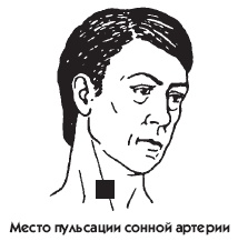 Иллюстрация к книге — Заболевания сердца и сосудов. Профилактика и лечение [i_022.jpg]