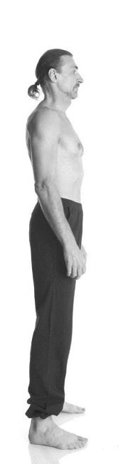 Иллюстрация к книге — Йога. Лучшие комплексы. Профилактика свыше 100 заболеваний Уцененный товар (№1) [i_023.jpg]