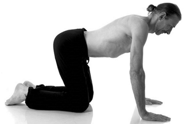 Иллюстрация к книге — Йога. Лучшие комплексы. Профилактика свыше 100 заболеваний Уцененный товар (№1) [i_031.jpg]