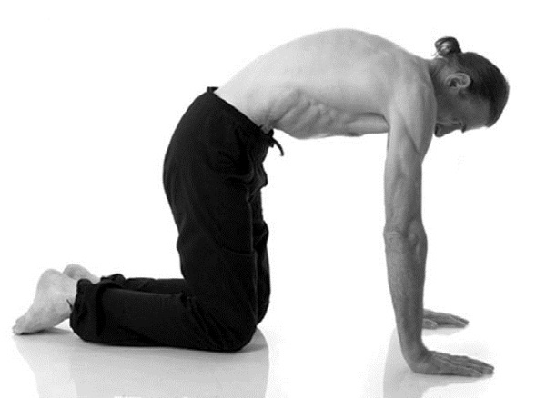 Иллюстрация к книге — Йога. Лучшие комплексы. Профилактика свыше 100 заболеваний Уцененный товар (№1) [i_032.jpg]