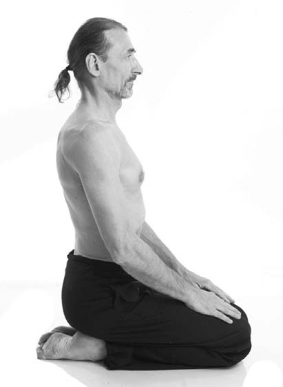 Иллюстрация к книге — Йога. Лучшие комплексы. Профилактика свыше 100 заболеваний Уцененный товар (№1) [i_090.jpg]