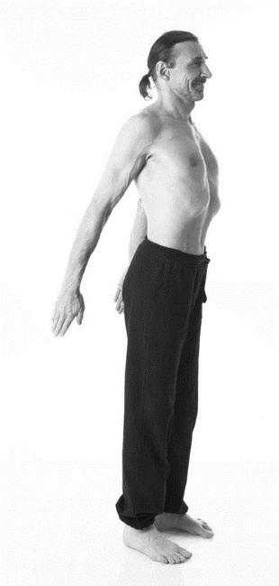 Иллюстрация к книге — Йога. Лучшие комплексы. Профилактика свыше 100 заболеваний Уцененный товар (№1) [i_118.jpg]