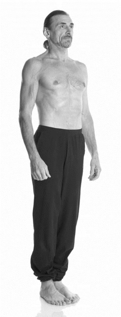 Иллюстрация к книге — Йога. Лучшие комплексы. Профилактика свыше 100 заболеваний Уцененный товар (№1) [i_158.jpg]