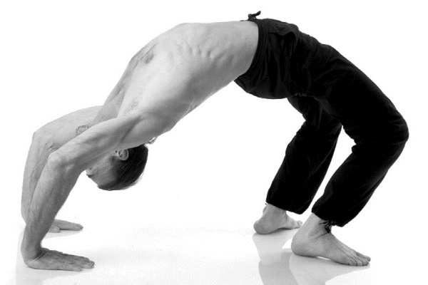 Иллюстрация к книге — Йога. Лучшие комплексы. Профилактика свыше 100 заболеваний Уцененный товар (№1) [i_175.jpg]