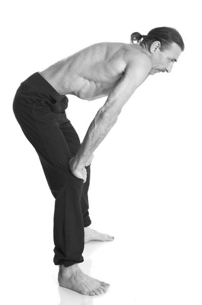 Иллюстрация к книге — Йога. Лучшие комплексы. Профилактика свыше 100 заболеваний Уцененный товар (№1) [i_206.jpg]