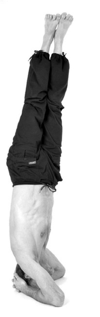 Иллюстрация к книге — Йога. Лучшие комплексы. Профилактика свыше 100 заболеваний Уцененный товар (№1) [i_259.jpg]