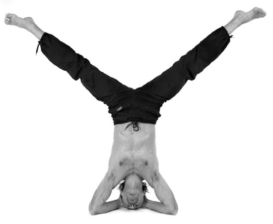 Иллюстрация к книге — Йога. Лучшие комплексы. Профилактика свыше 100 заболеваний Уцененный товар (№1) [i_261.jpg]