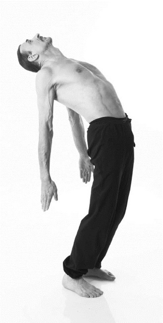 Иллюстрация к книге — Йога. Лучшие комплексы. Профилактика свыше 100 заболеваний Уцененный товар (№1) [i_271.jpg]