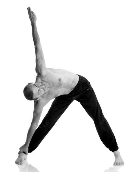 Иллюстрация к книге — Йога. Лучшие комплексы. Профилактика свыше 100 заболеваний Уцененный товар (№1) [i_277.jpg]