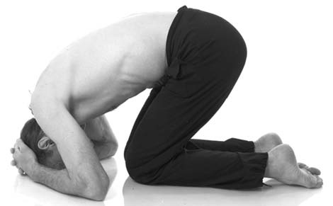 Иллюстрация к книге — Йога. Лучшие комплексы. Профилактика свыше 100 заболеваний Уцененный товар (№1) [i_297.jpg]