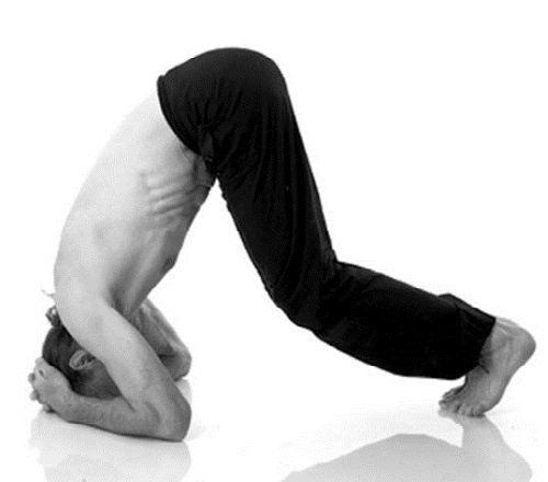 Иллюстрация к книге — Йога. Лучшие комплексы. Профилактика свыше 100 заболеваний Уцененный товар (№1) [i_299.jpg]