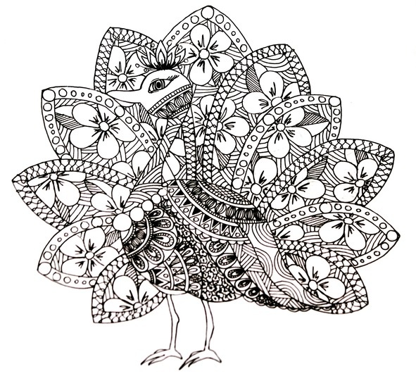 Иллюстрация к книге — Секреты Лучезарной женщины [image16_561bb883b1b2240e4648d526_jpg.jpg]