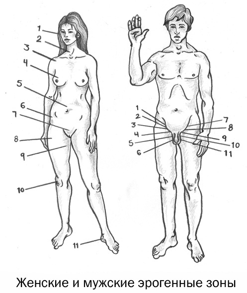 Иллюстрация к книге — Женщина. Руководство для мужчин [i_013.jpg]