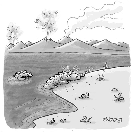 Иллюстрация к книге — Женщина. Руководство для мужчин [i_017.jpg]