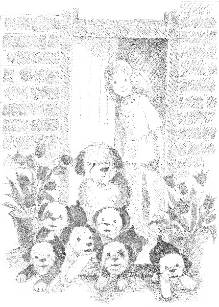 Иллюстрация к книге — Щенок Макс, или Выбери меня! [i_002.jpg]