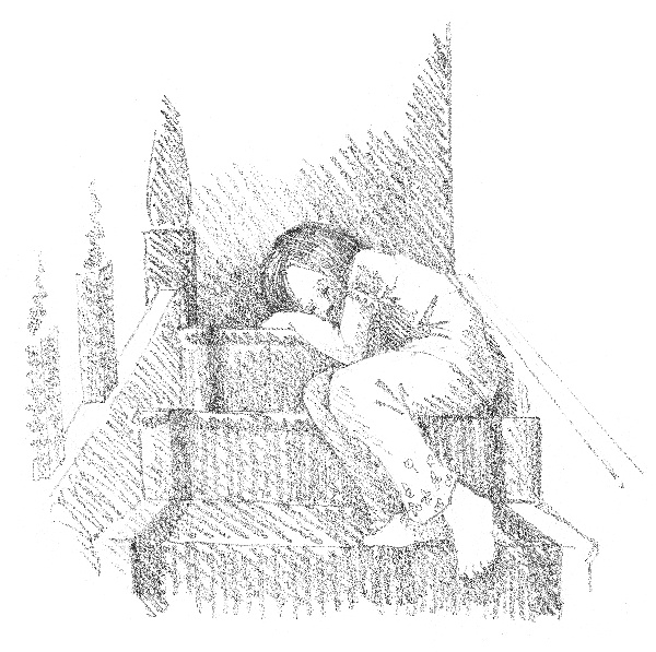 Иллюстрация к книге — Щенок Макс, или Выбери меня! [i_007.jpg]