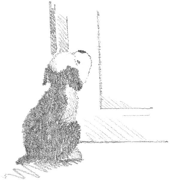 Иллюстрация к книге — Щенок Макс, или Выбери меня! [i_009.jpg]