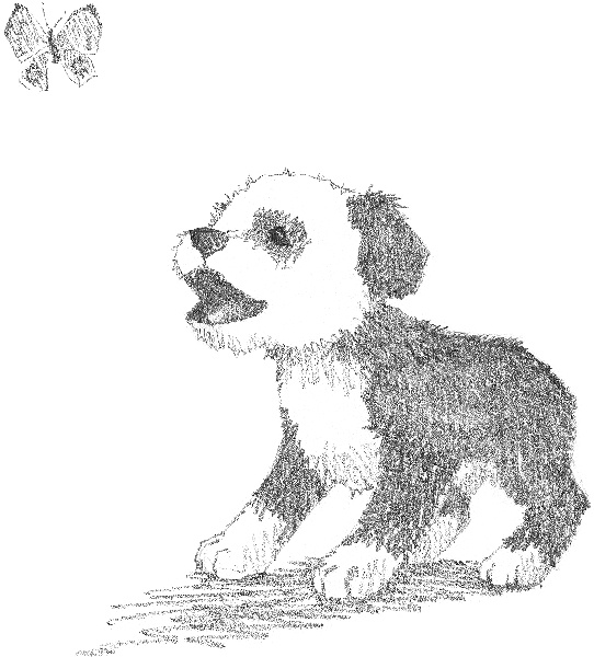 Иллюстрация к книге — Щенок Макс, или Выбери меня! [i_010.jpg]