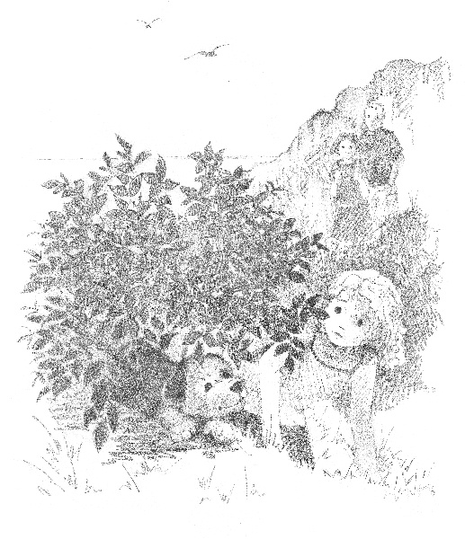 Иллюстрация к книге — Щенок Макс, или Выбери меня! [i_018.jpg]