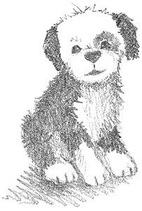 Иллюстрация к книге — Щенок Макс, или Выбери меня! [i_024.jpg]