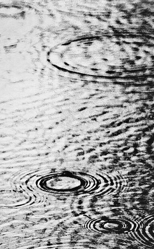 Иллюстрация к книге — 47 [i_003.jpg]