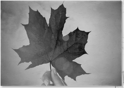 Иллюстрация к книге — 47 [i_017.jpg]