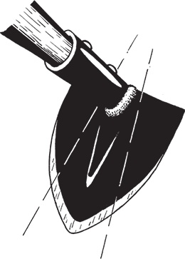 Иллюстрация к книге — Самая полезная настольная книга садовода и огородника [i_004.jpg]