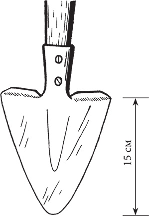 Иллюстрация к книге — Самая полезная настольная книга садовода и огородника [i_007.jpg]