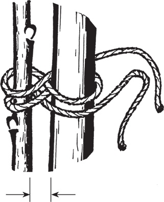 Иллюстрация к книге — Самая полезная настольная книга садовода и огородника [i_031.jpg]