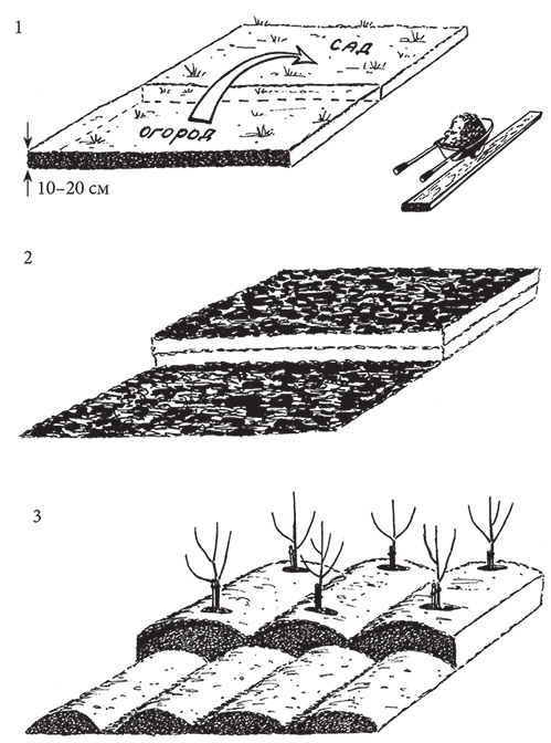 Иллюстрация к книге — Самая полезная настольная книга садовода и огородника [i_040.jpg]