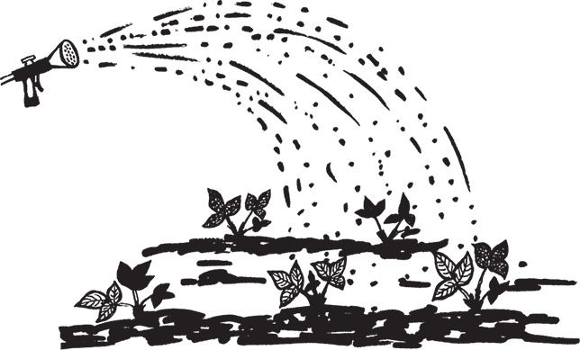 Иллюстрация к книге — Самая полезная настольная книга садовода и огородника [i_043.jpg]