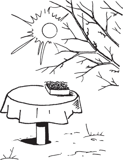 Иллюстрация к книге — Самая полезная настольная книга садовода и огородника [i_051.jpg]