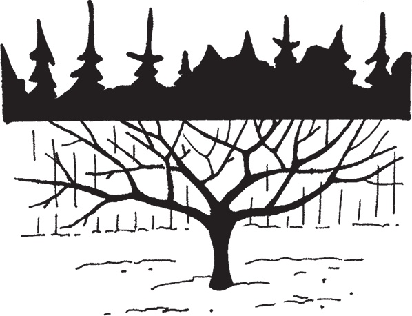 Иллюстрация к книге — Самая полезная настольная книга садовода и огородника [i_055.jpg]