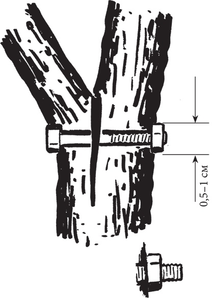 Иллюстрация к книге — Самая полезная настольная книга садовода и огородника [i_062.jpg]
