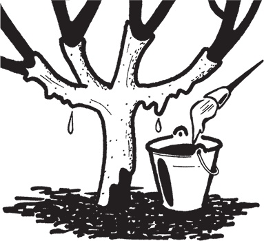 Иллюстрация к книге — Самая полезная настольная книга садовода и огородника [i_073.jpg]