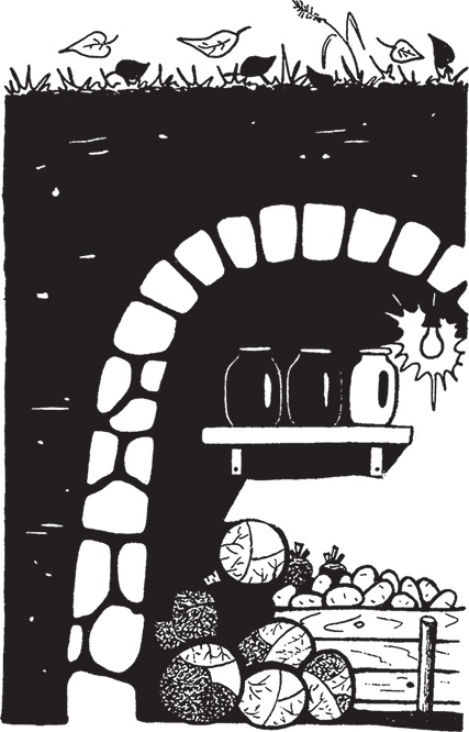 Иллюстрация к книге — Самая полезная настольная книга садовода и огородника [i_074.jpg]