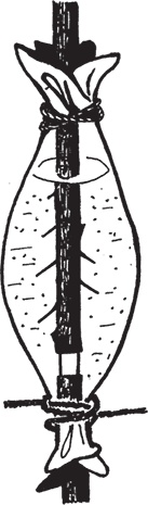 Иллюстрация к книге — Самая полезная настольная книга садовода и огородника [i_088.jpg]