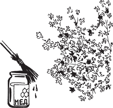 Иллюстрация к книге — Самая полезная настольная книга садовода и огородника [i_105.jpg]