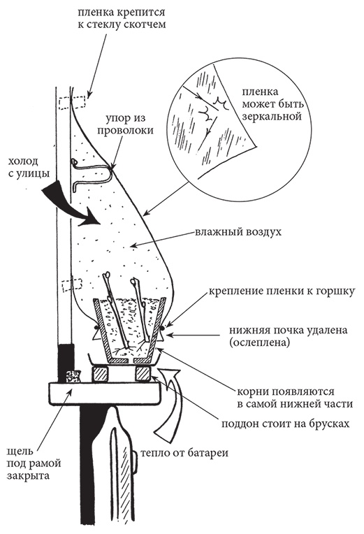 Иллюстрация к книге — Самая полезная настольная книга садовода и огородника [i_131.jpg]