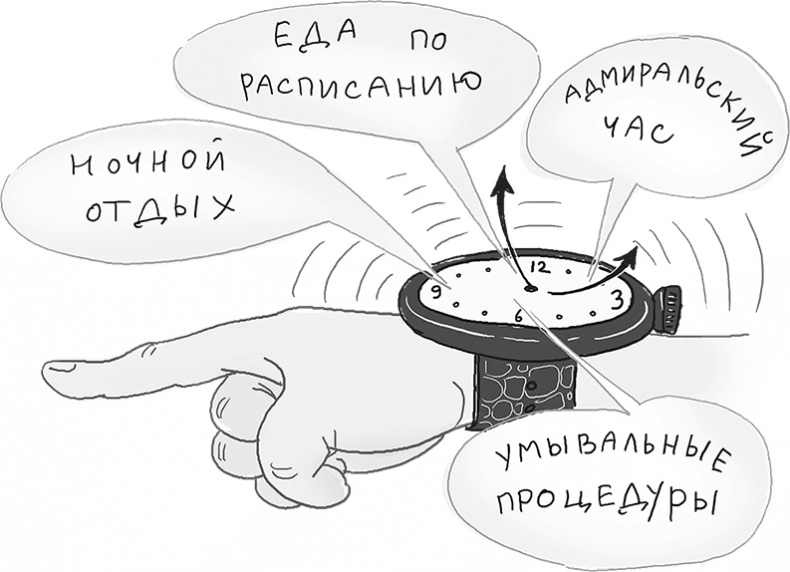 Иллюстрация к книге — День карапузов [i_012.jpg]