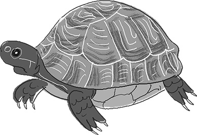 Иллюстрация к книге — День карапузов [i_023.jpg]