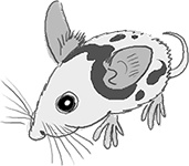 Иллюстрация к книге — День карапузов [i_050.jpg]