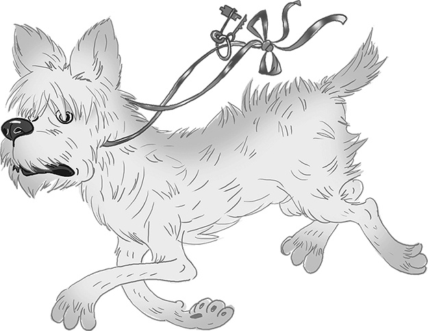 Иллюстрация к книге — День карапузов [i_057.jpg]