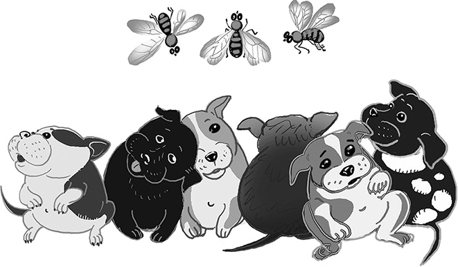 Иллюстрация к книге — Бунт пупсиков [i_068.jpg]