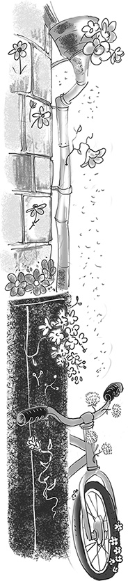 Иллюстрация к книге — Таинственный Ктототам [i_008.jpg]