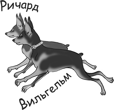 Иллюстрация к книге — Таинственный Ктототам [i_011.jpg]