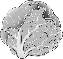 Иллюстрация к книге — Таинственный Ктототам [i_068.jpg]